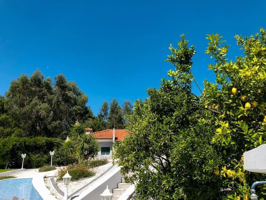 Maison Familiale De Caractere Avec Piscine Padronelo Экстерьер фото